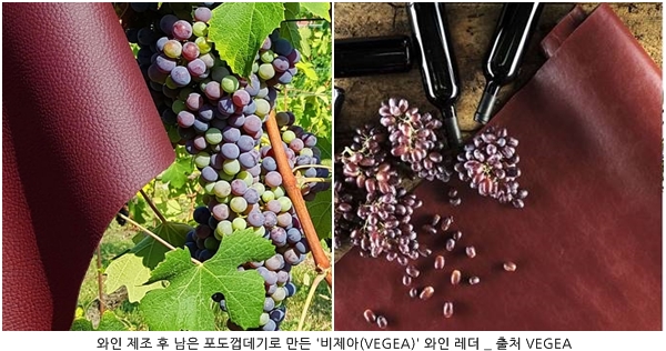 파인애플·선인장·버섯으로 리얼 비건 '가죽' 제안 959-Image